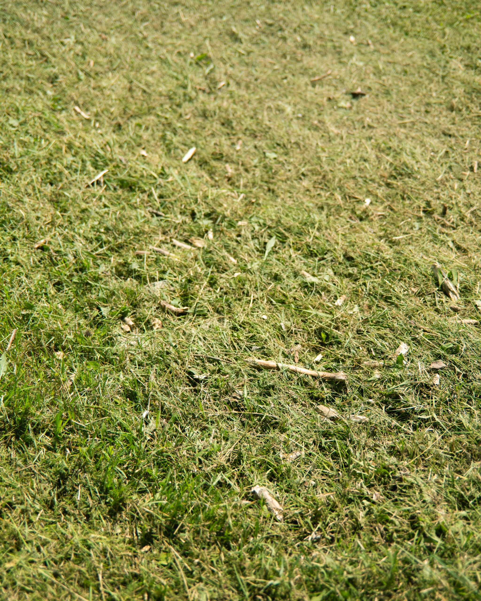 DSCF8595