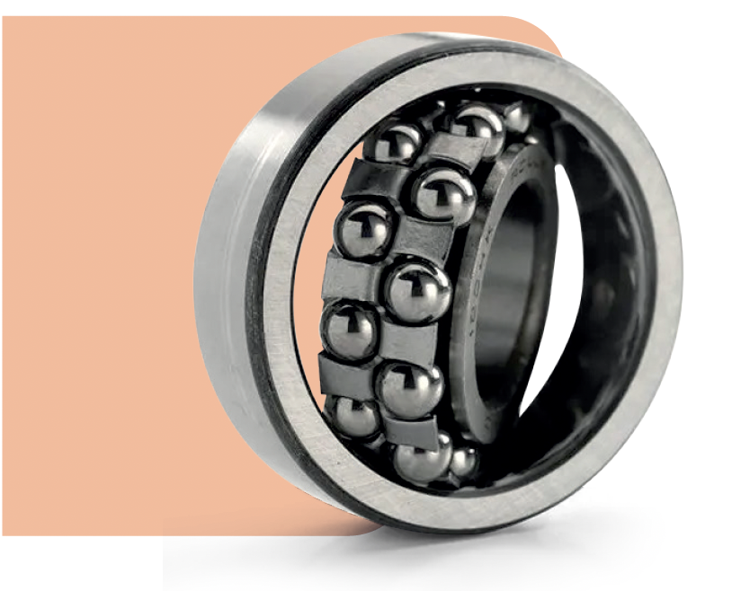 Double rolling ball bearings