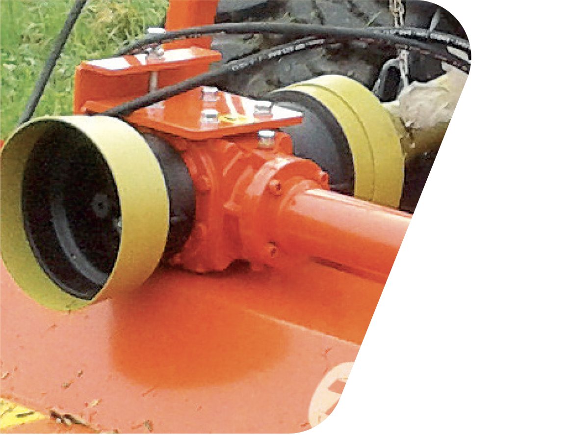 predisposizione reversibile lupo